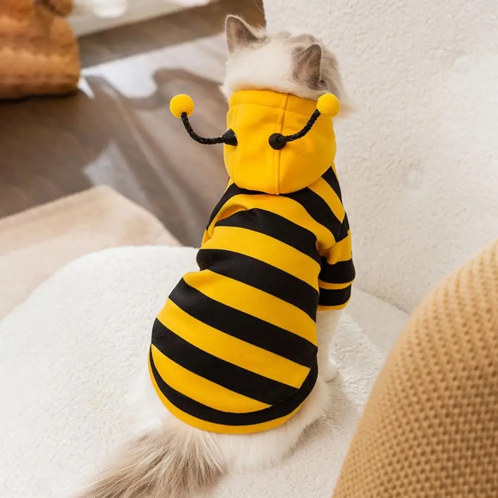 Winter Clothing Accessories - Pet Cats Clothes Kitten Stuff Dog