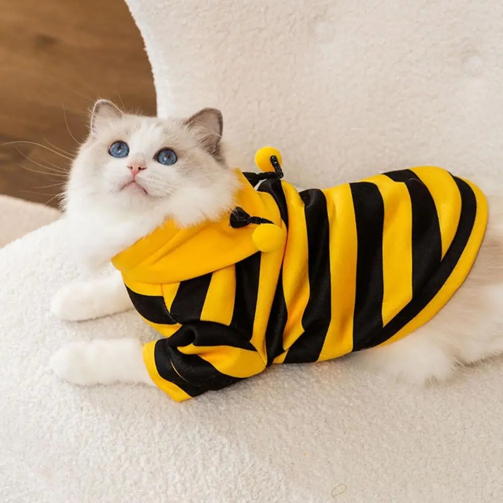Pet Cats Clothes Kitten Stuff  - đánh giá và giá Winter Clothing Accessories