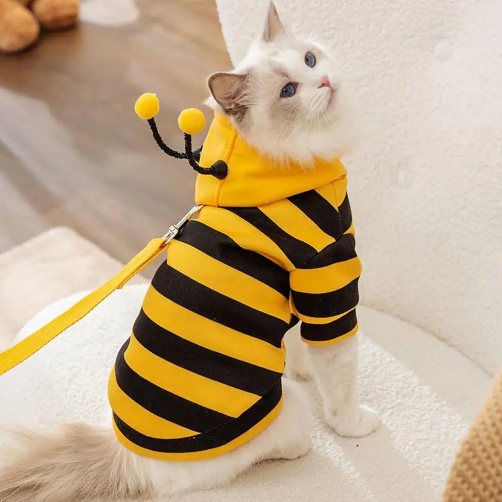 Pet Cats Clothes Kitten Stuff  - đánh giá và giá Winter Clothing Accessories
