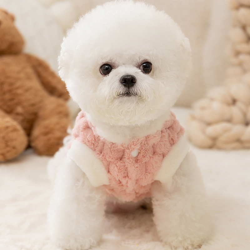 Pet Dog Warm Coat Winter Dog C - đánh giá và giá Winter Clothing Kids