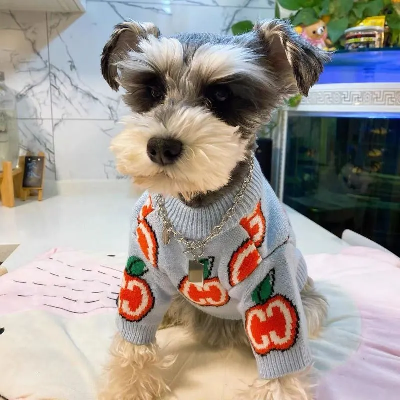Letter Sweater Pet Dog Clothes - đánh giá và giá Winter Clothing Kids