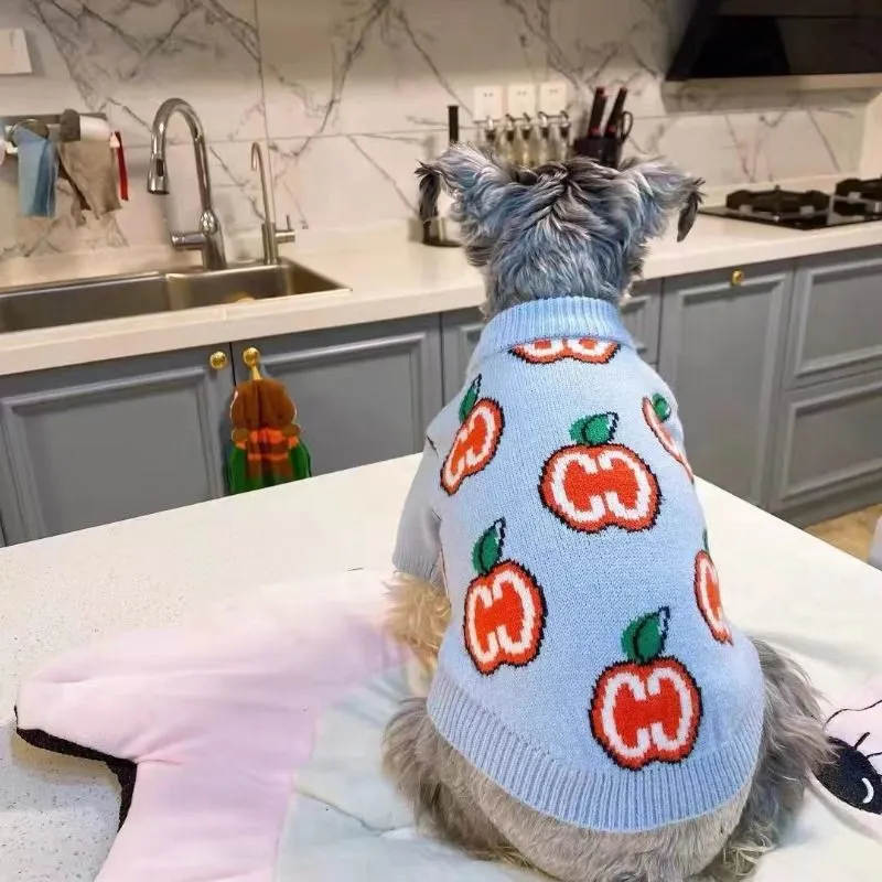 Letter Sweater Pet Dog Clothes - đánh giá và giá Winter Clothing Kids